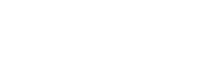 INSYBO + SYSTEM BOOST